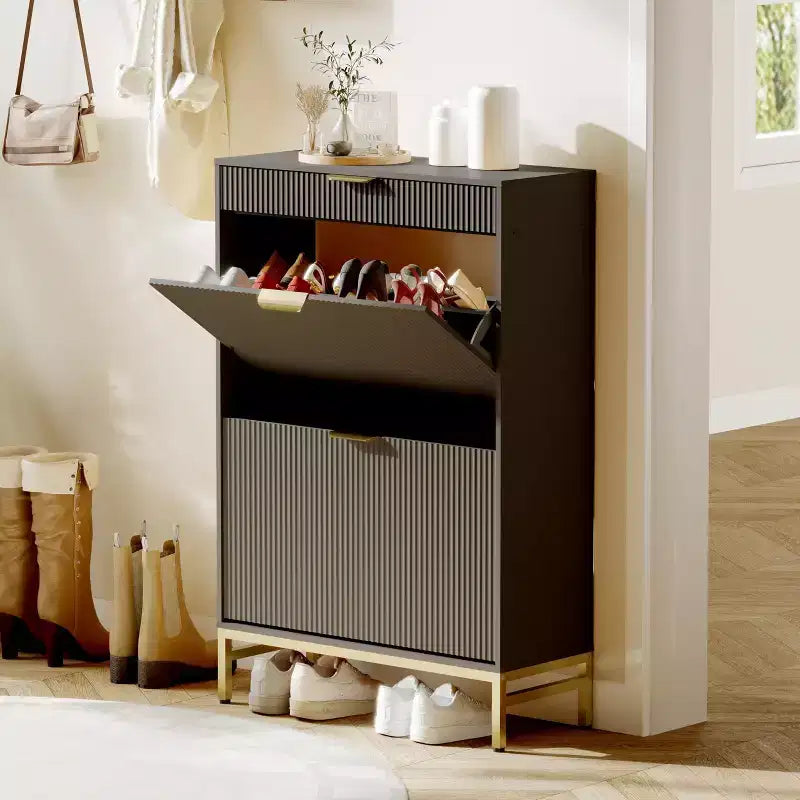 Shoe Cabinet