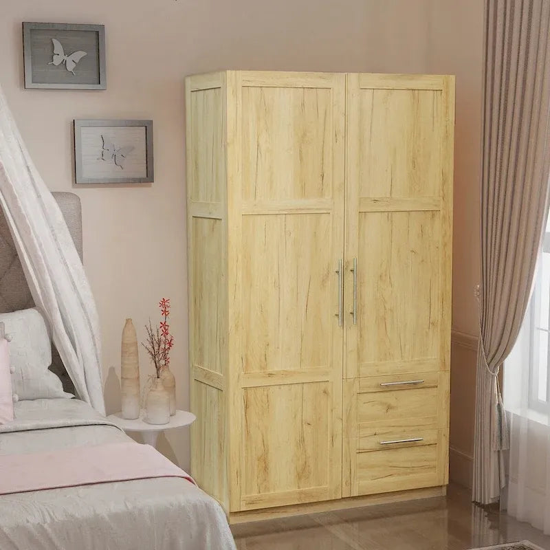 Grande armoire avec 2 tiroirs et 5 espaces de rangement